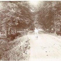 John Fowler Country Road